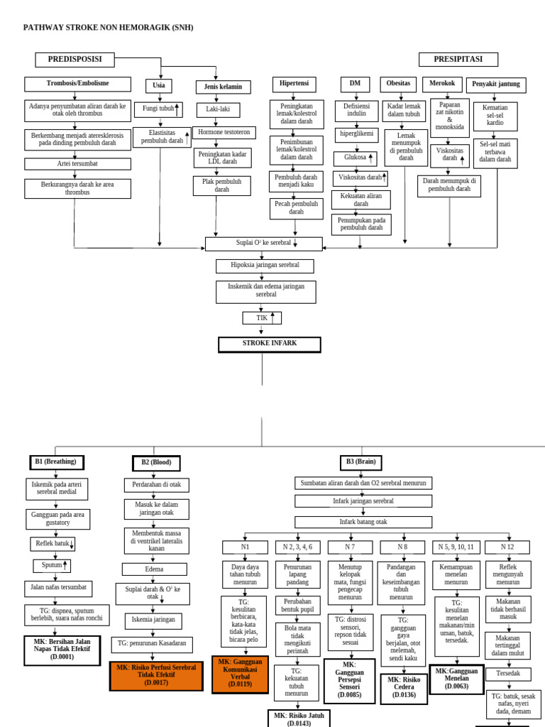 Pathway Stroke Non Hemoragik (SNH) | PDF