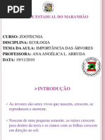 Importância das árvores