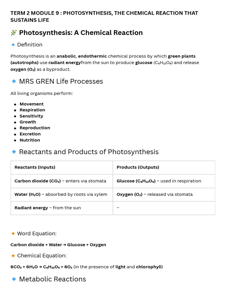 Photosynthesis: Process and Phases Explained | PDF | Photosynthesis | Leaf