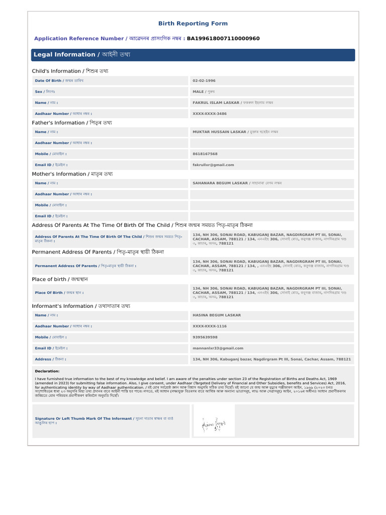 BA199618007110000960 Reporting Form | PDF