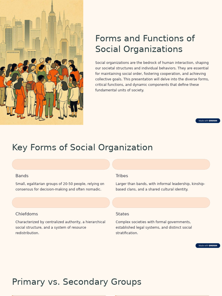 Forms and Functions of Social Organizations | PDF | Identity (Social ...