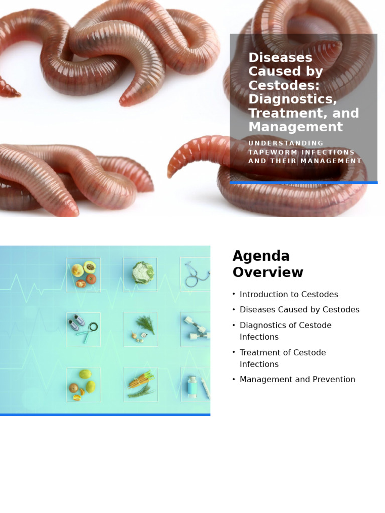 Diseases Caused by Cestodes | PDF | Microbiology | Parasitology