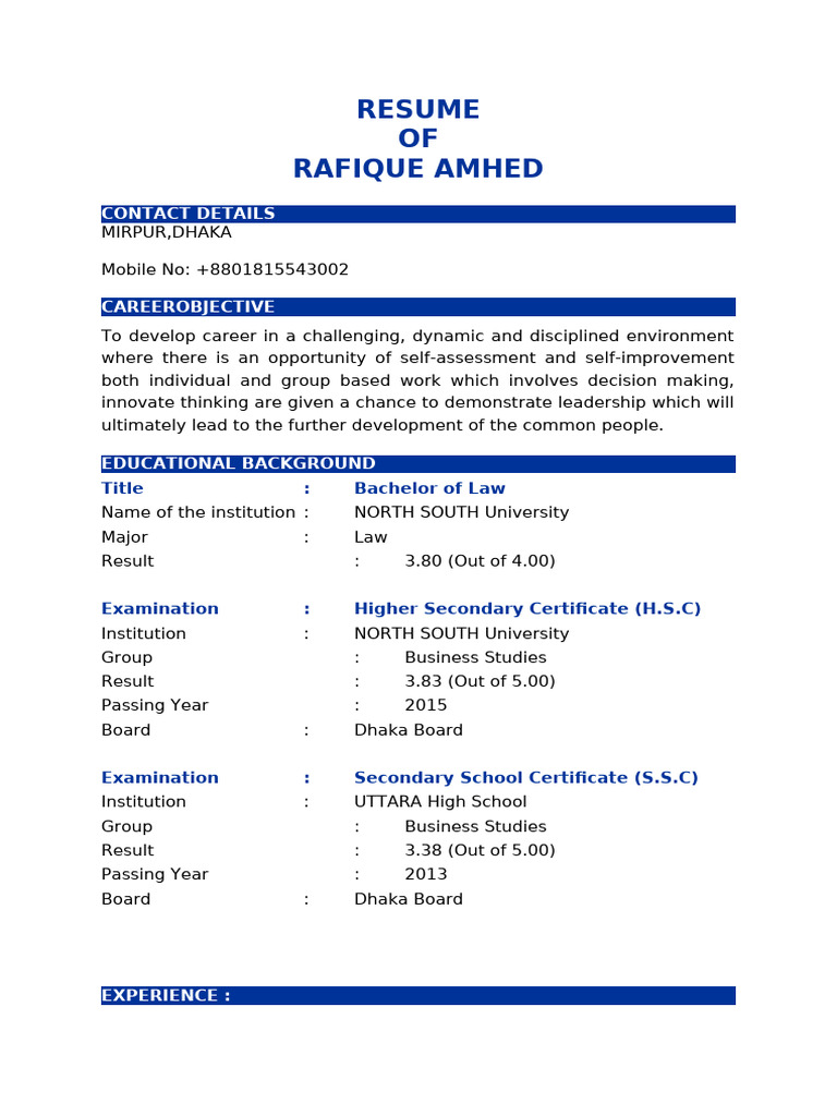 Rafique Ahmed's Resume Summary | PDF