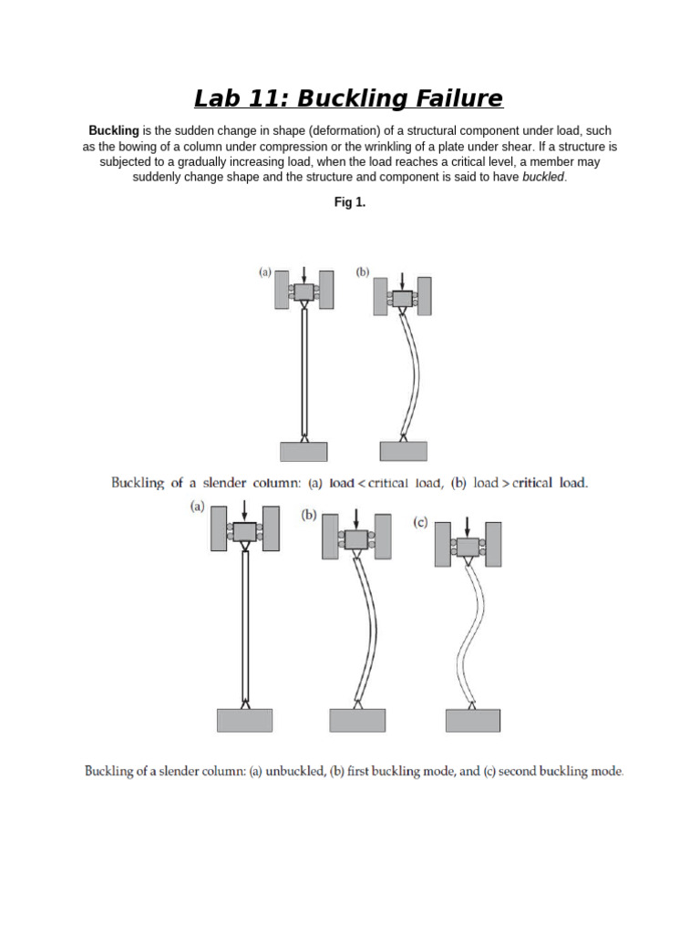 Lab 11 Buckling Failure Pdf Fatigue Material Buckling