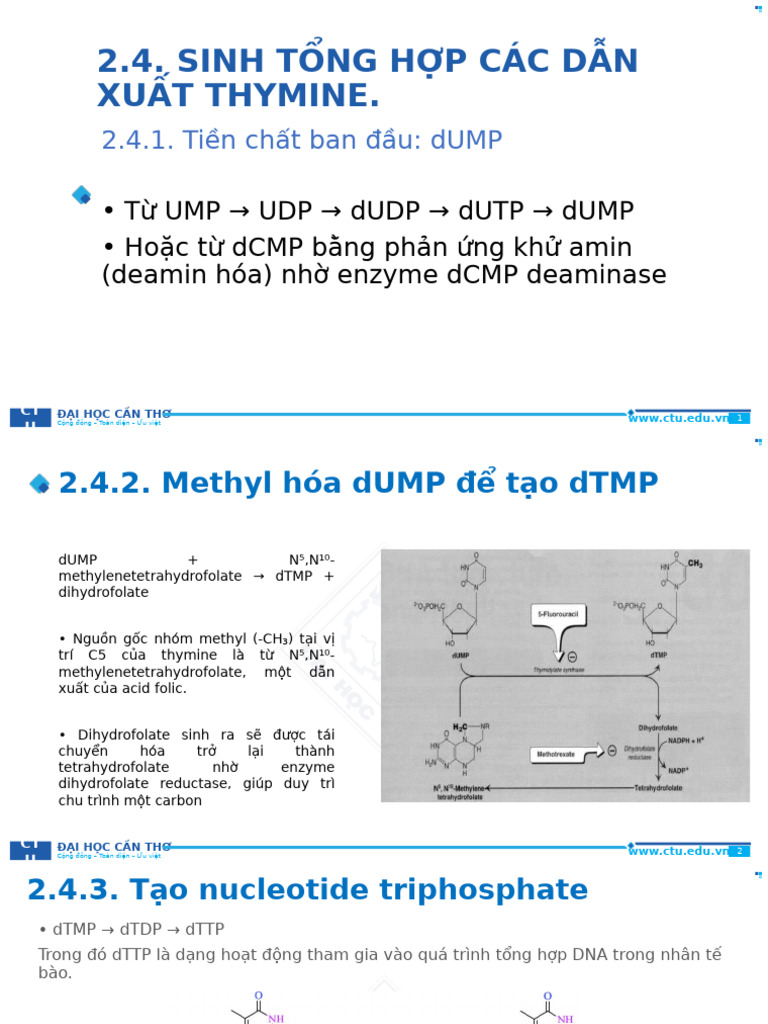 CTU PowerPoint Template-1 | PDF