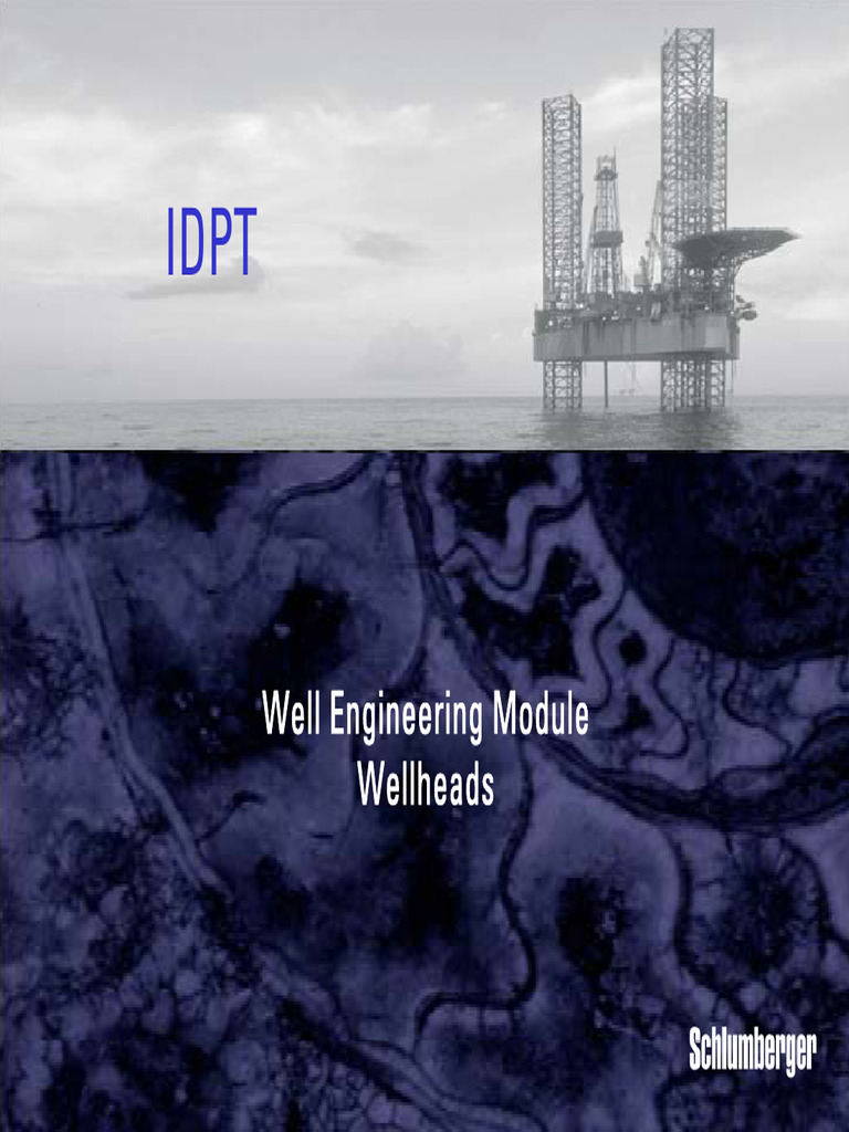 Well Engineering: Wellheads & Fishing Tools | PDF | Casing (Borehole)