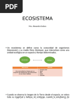 Organizador Gráfico de Ecosistemas | PDF