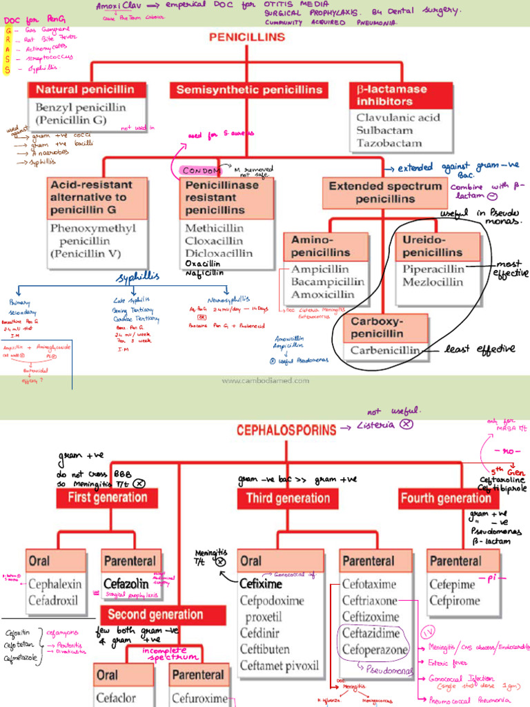 Pharmacological Classification 1 | PDF | Microbiology | Antibiotics