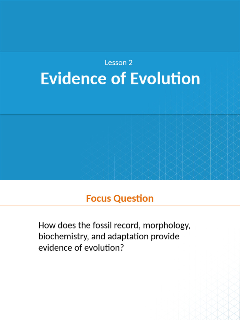 4 Natural Selection and Adaptation | PDF | Evolution | Adaptation