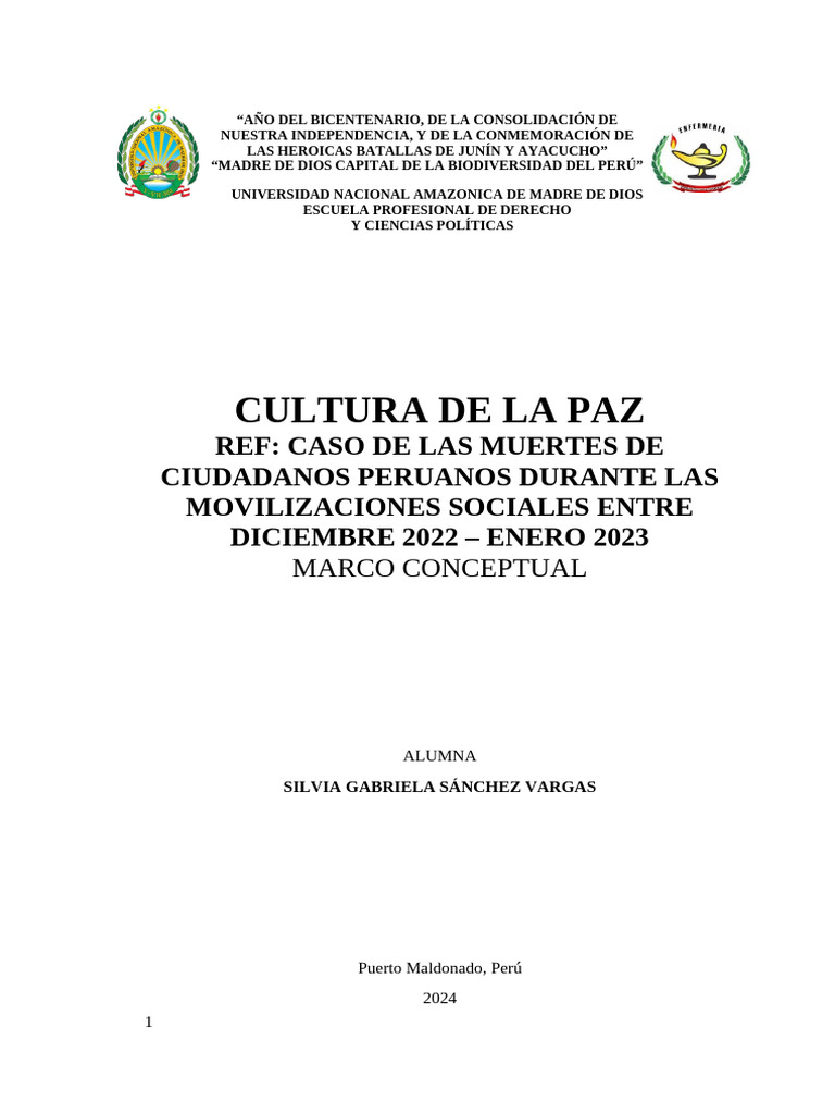 Cultura de Paz y Protestas en Perú | PDF | Paz | Derechos humanos
