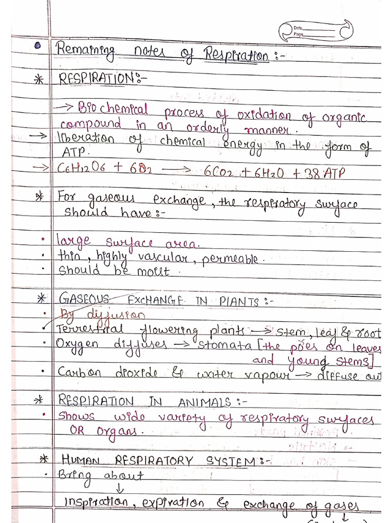 chp.8 Respiration and Circulationpdf Notes | PDF