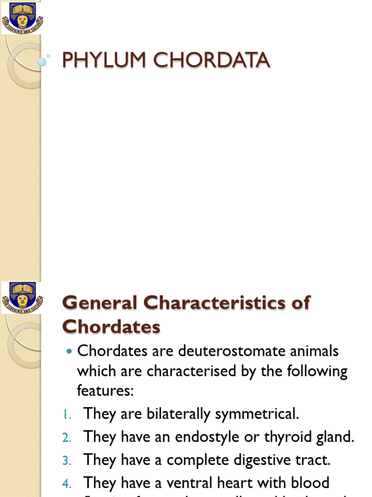 Characteristics of Phylum Chordata | PDF | Chordates