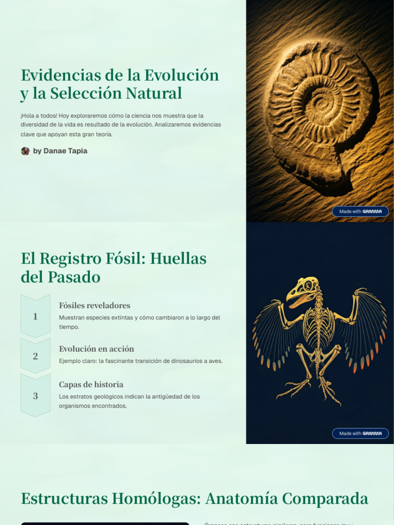 Evidencias de La Evolucion y La Seleccion Natural | PDF | Evolución ...