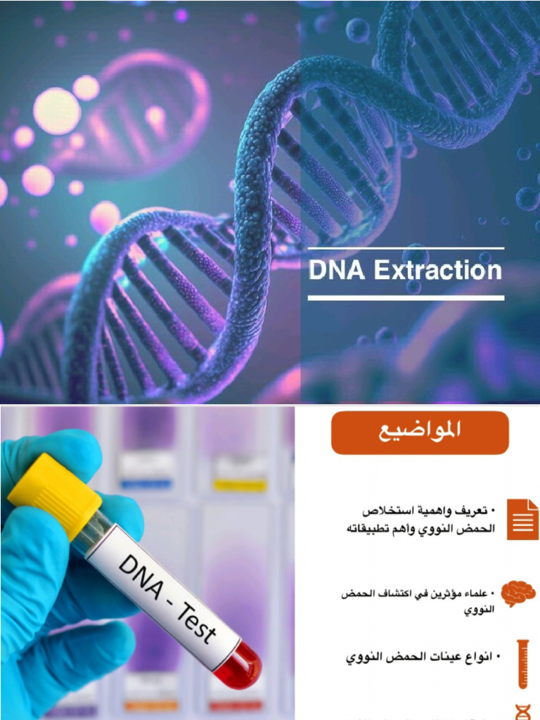 DNA Extraction11 | PDF