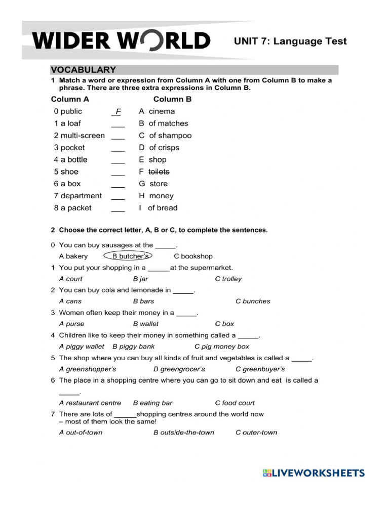 Wider World Unit 7 Test | PDF