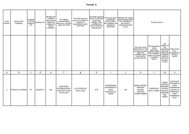 Format A 1 | PDF