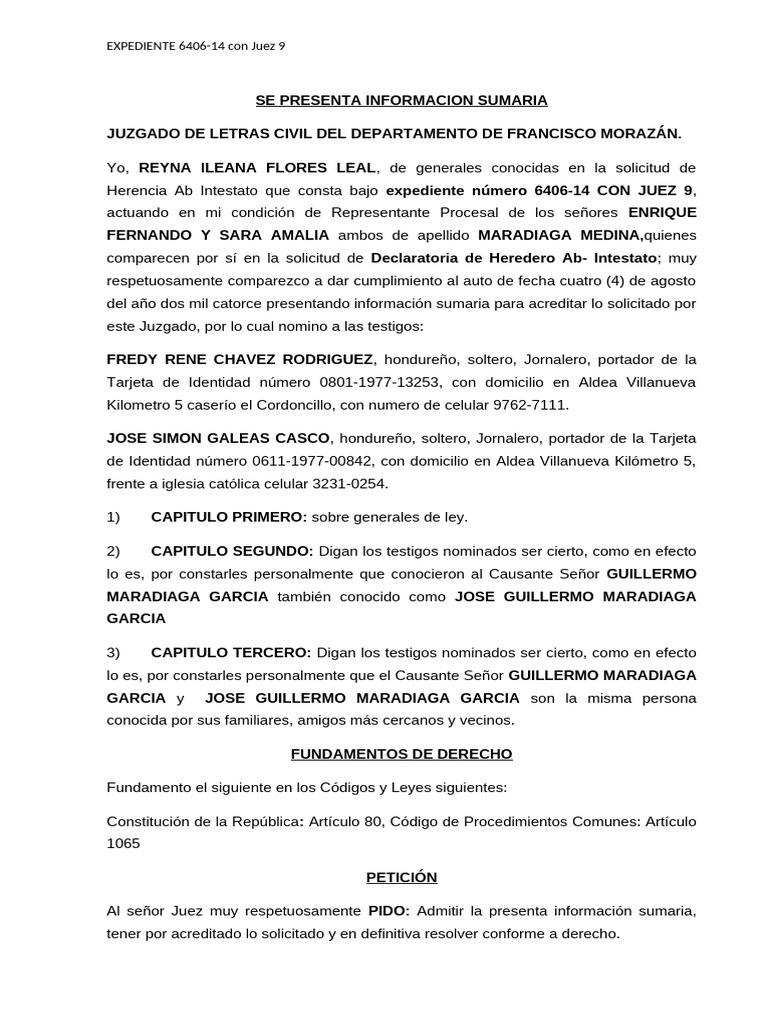 Informacion Sumaria | PDF