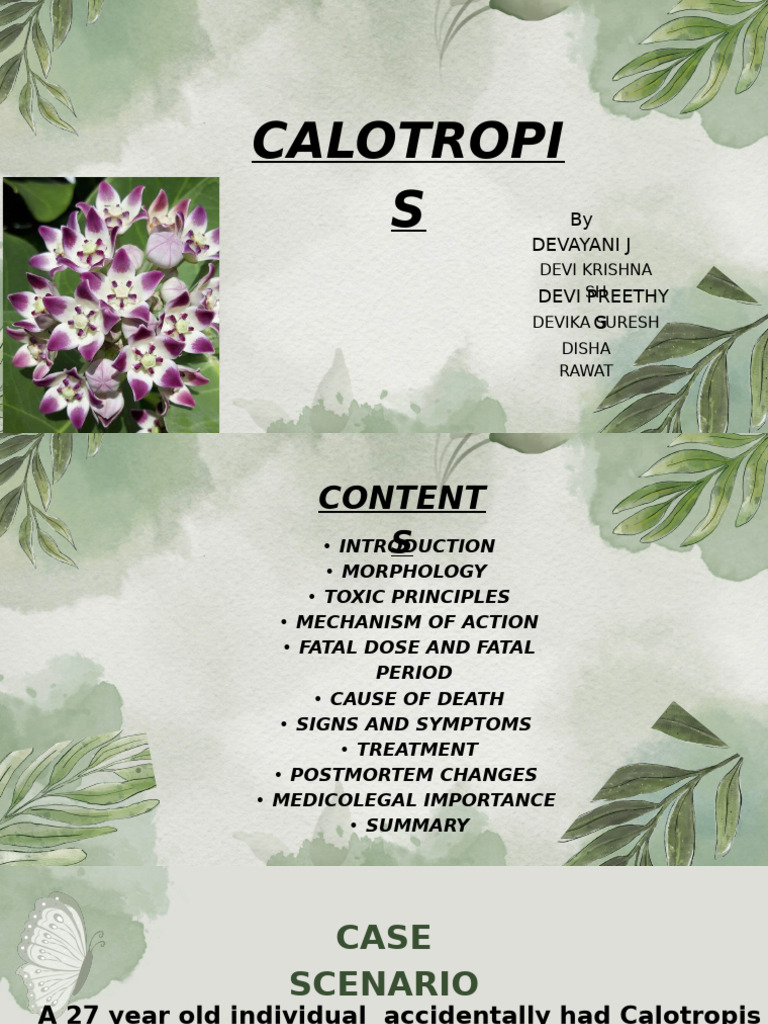 Calotropis - 20250209 - 215145 - 0000 | PDF