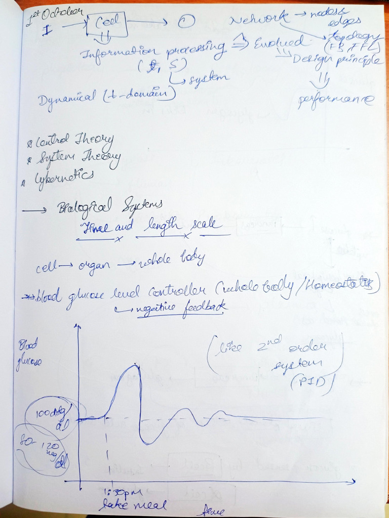 Dhimu ST Notes | PDF