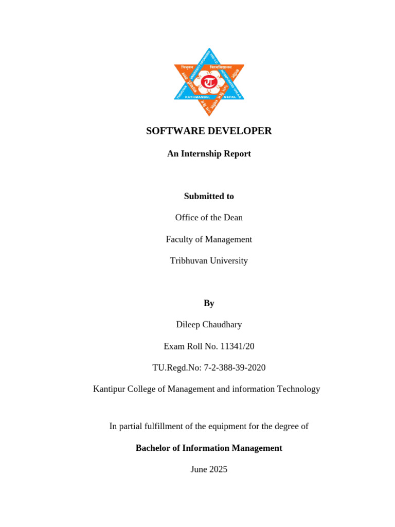 Internship Report: Software Developer | PDF | Databases | Software ...