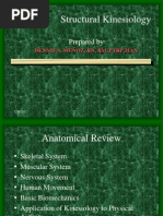 Download Dennis-upper Extremity Kinesiology by Dennis Nabor Muoz RNRM SN8939702 doc pdf