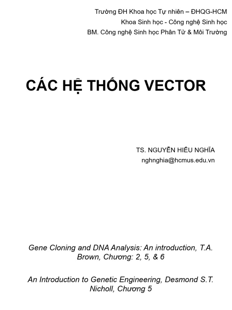 Hệ Thống Vecto | PDF