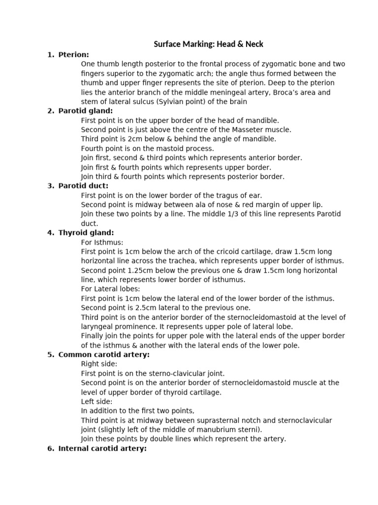 Carotid and Facial Artery Markings | PDF | Common Carotid Artery | Neck