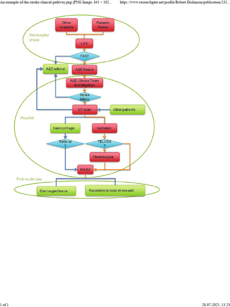 An-Example-Of-The-Stroke-Clinical-Pathway - PNG (PNG Image, 841 × 1027 ...
