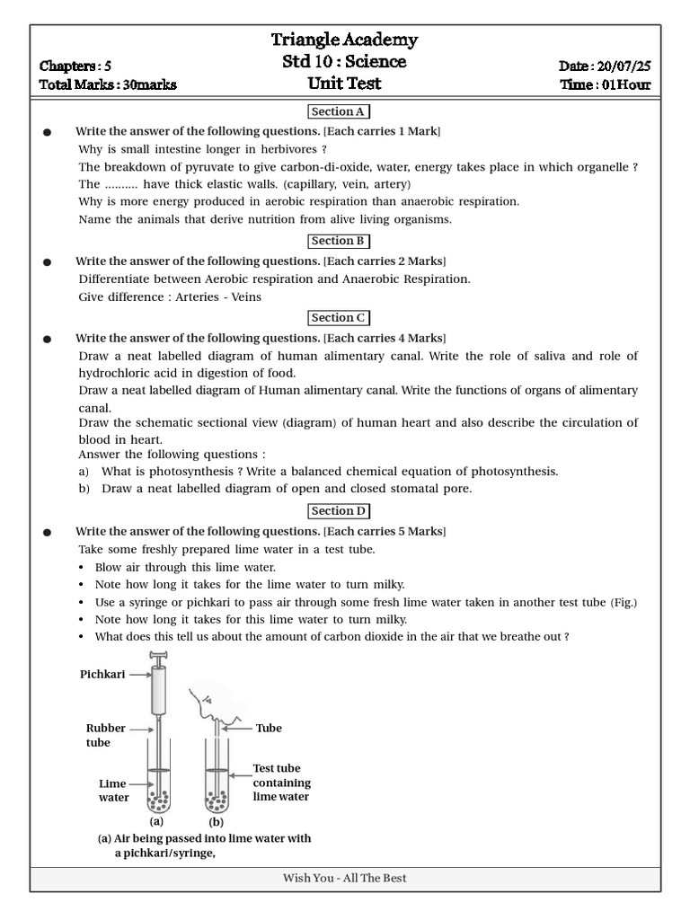 Std 10 Science Unit Test - Triangle Academy | PDF | Cellular ...