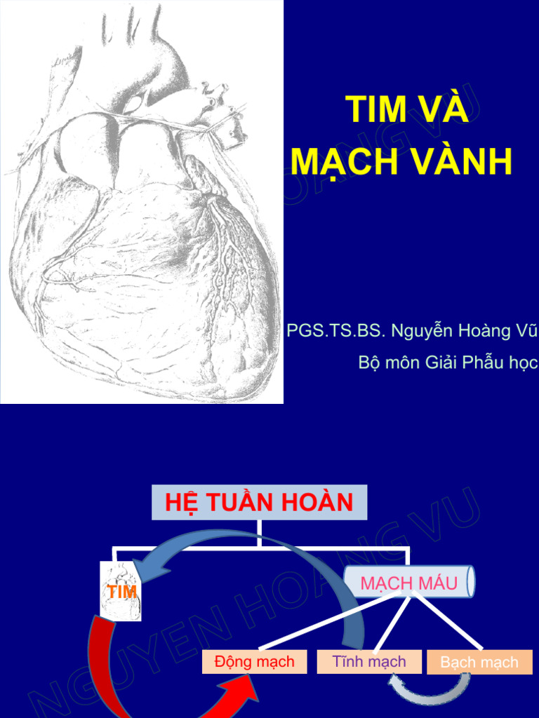 TIM Va Mach Vanh (Gui) | PDF