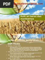 Download Kulit Ari Beras Dan Manfaatnya by er_e SN8940170 doc pdf