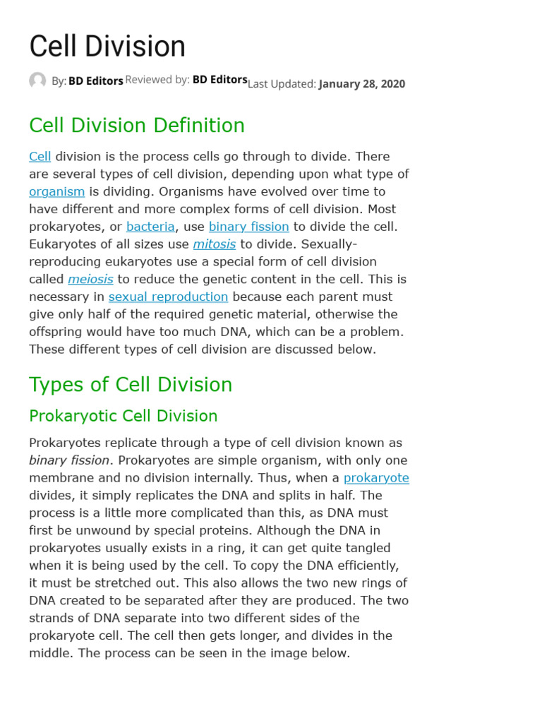 Overview of Cell Division Types | PDF | Meiosis | Mitosis