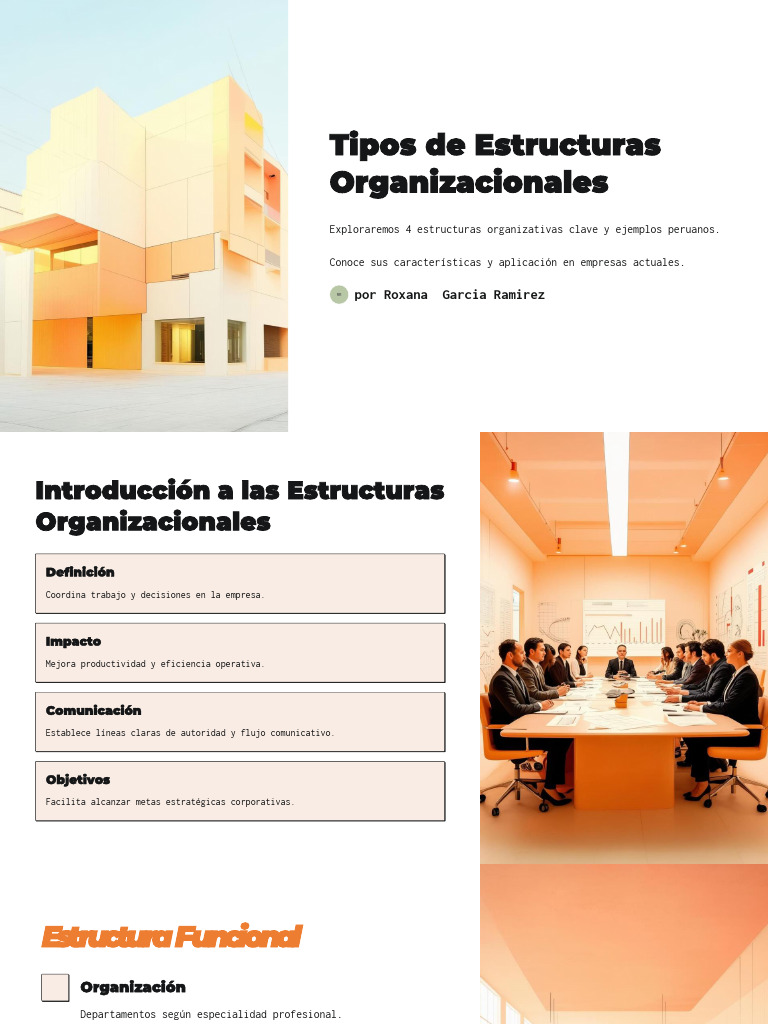 Tipos de Estructuras Organizacionales | PDF | Business | Economias