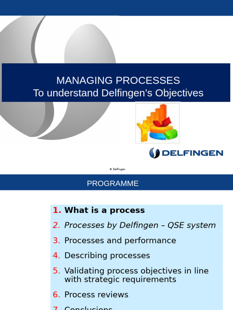 Delfingen Process Management Overview | PDF | Performance Indicator ...