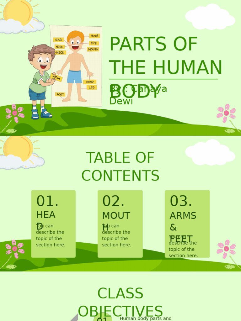 Green Illustration Parts of the Human Body Child Presentation | PDF