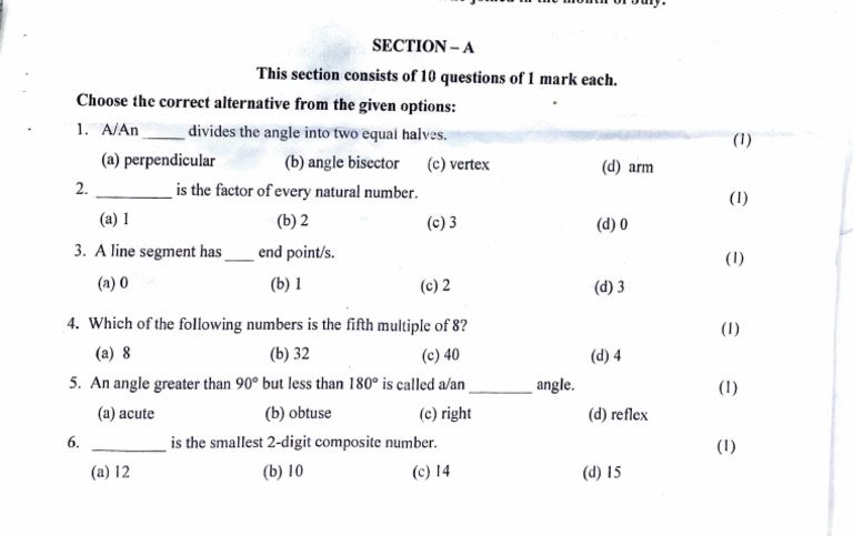 Math Quiz: Multiple Choice Questions | PDF
