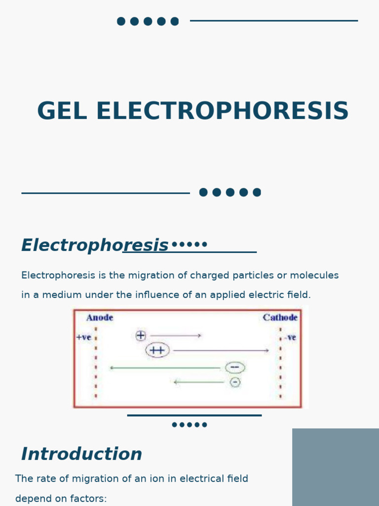 Overview of Gel Electrophoresis Techniques | PDF | Gel Electrophoresis ...