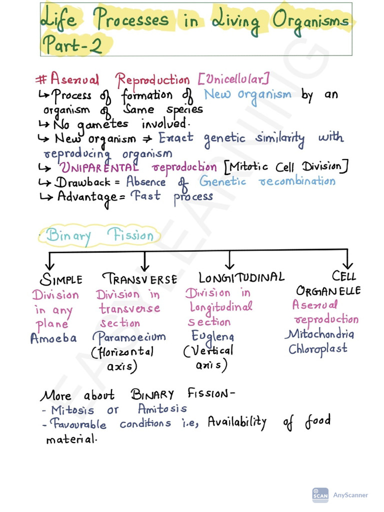 Life Processes-2 Handwritten | PDF