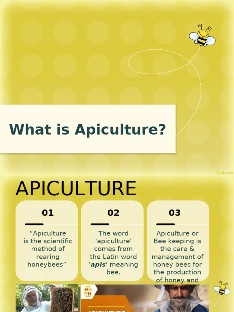 Apiculture - WHAT | PDF | Honey Bee | Beekeeping
