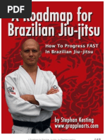 BJJ Roadmap 1.3