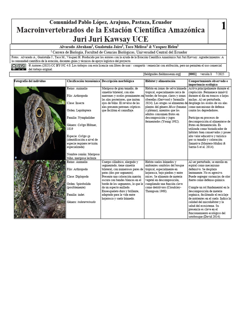 Macroinvertebrados en Arajuno, Ecuador | PDF | Depredación | Insectos
