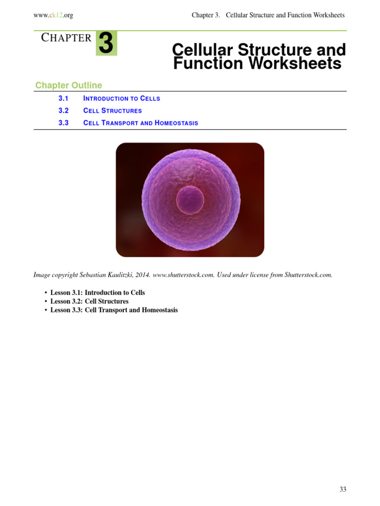 Prokaryotic vs Eukaryotic Cells Explained | PDF | Cell (Biology) | Cell ...