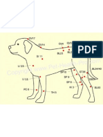 Acupuncture Chart Dog