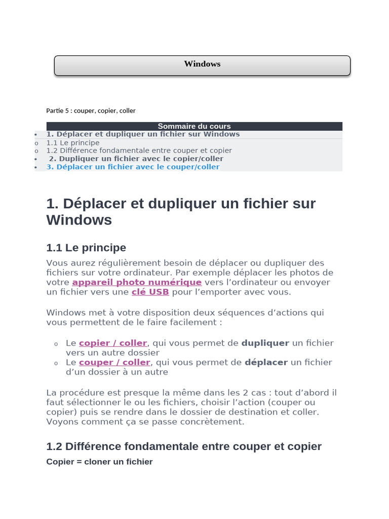 Couper, Copier, Coller sur Windows | PDF | Fichier informatique | Clé USB