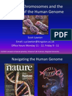 Genes and Chromosomes_2010-1