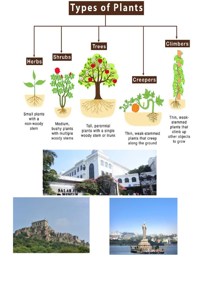 3 RD Class Project Neve | PDF