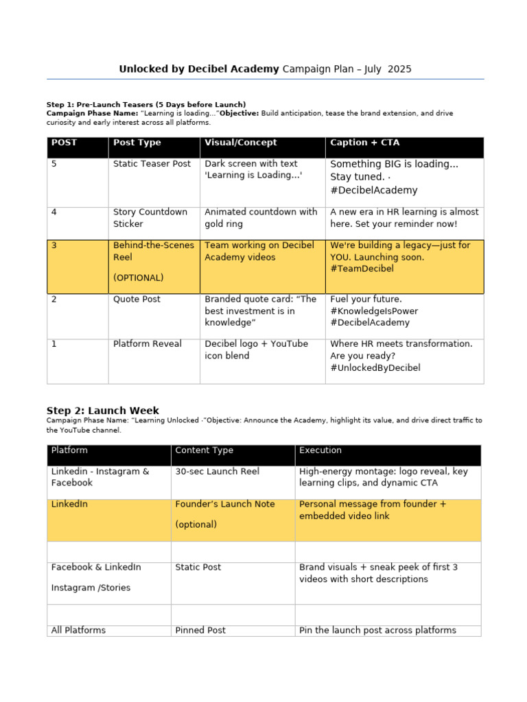 Rough Draft of Decibel Academy Media Plan | PDF | Learning | Linked In