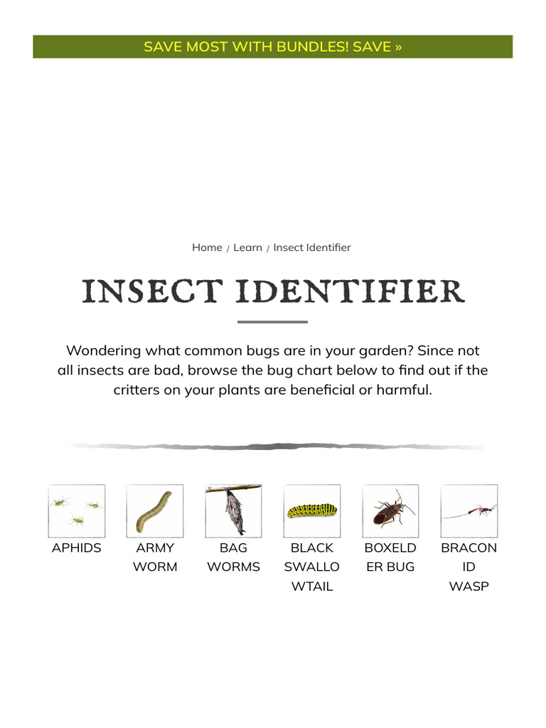 Insect Identifier For Container Gardening - EarthBox | PDF | Insects ...