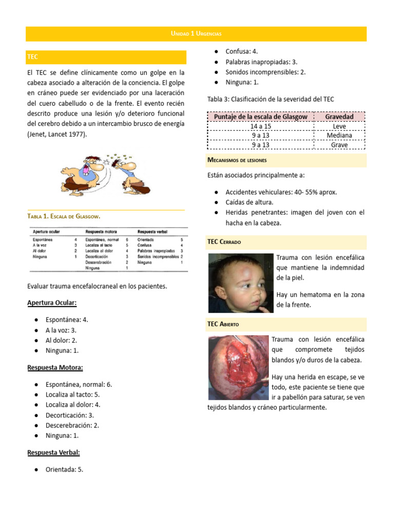 5 Tec | PDF | Lesión cerebral traumática | Especialidades Medicas