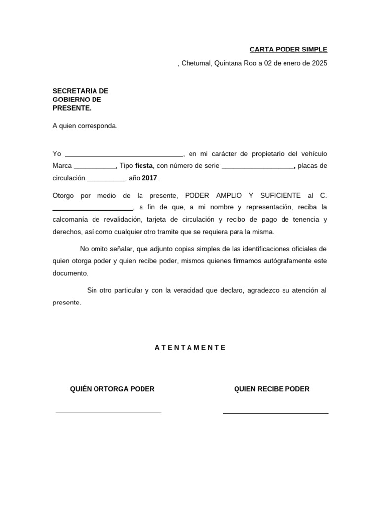 Carta Poder Simple para Trámites Vehiculares | PDF